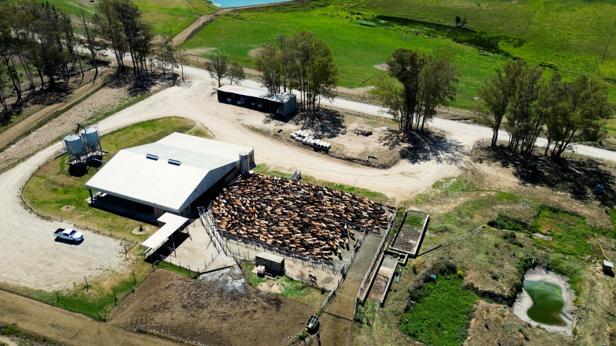 0 Bedroom Property for Sale in Stutterheim Rural Eastern Cape